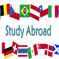 International Studies Abroad Career Planning