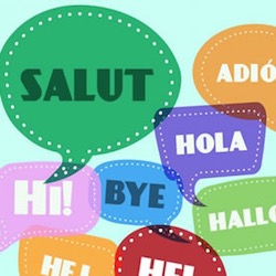 Best Strategies for Learning a New Language